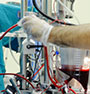 Clinical Perfusionist